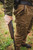 Rigby Robin Hurt Expedition Pants