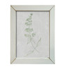 KAM724 Illustrated Greens