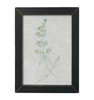 KAM724 Illustrated Greens