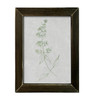 KAM724 Illustrated Greens