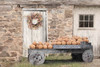 LD2563 Pumpkin Wagon Picture