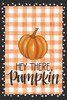 LAR526 Plaid Pumpkin Polka Dots Picture