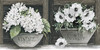 CIN3690 Vintage Flower Market Picture