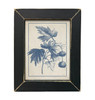 LUX852 Classic Stems Illustration CLEARANCE