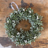 13in Winter Kissed Wreath
