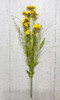 Field Aster Spray Yellow 24in
