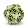 5 Inch White Kalanchoe Ball (72)