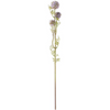 25 Inch Light Purple Mini Allium Stem (288)