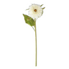 22 Inch White Aster Stem (96)