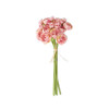 11 Inch Pink Mini Ranunculus Bundle (7 Stems) (120)