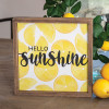 Hello Sunshine Framed Box Sign