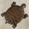 Turtle Stepping Stone