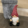 Rsn Red Gnome 2 Asst