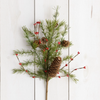 Pick - Evergreens With Mini Cones And Berries