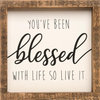 You'Ve Been Blessed With Life Framed Sign