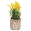 Yellow Flowers In A Light Cement Pot
