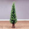 Skinny Pine Tree w/Burlap Base, 5ft
