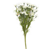 Wax Flower Bushy Pick - White
