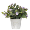 Small Round Blooms With Light Gray Pot - Purple