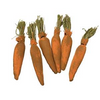 6/Set, Bunny Food Carrots (SET)