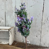 19in Bush-Lavender Eucalyptus w.Seeds