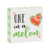 One In A Melon Block