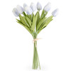 13.5 Inch Blue Real Touch Mini Tulip Bundle (12)