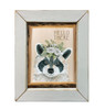 CIN2482A Hello There Raccoon