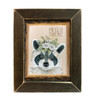 CIN2482A Hello There Raccoon