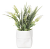 Tall White Flowers In White Pot