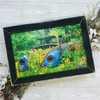 LD827 German Flower Pot Black Frame