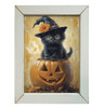 HMK596L PUMPKIN KITTEN 12X16 LATH
