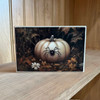 HMK622B SPIDER PUMPKIN 4X6 BLOCK