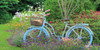 Garden Bicycle Picture