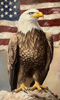 HMK653A Vintage Patriotic Eagle Arch Frame