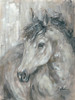 Painted Gray Horse Picture