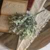 12" FROSTED MISTLETOE BUSH