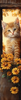 HMK1237P Fall Kitten Porch Sign
