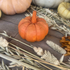 Wide Orange 3D Carved Pumpkin