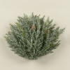 7.5" PRICKLY PINE HALF BALL W/ PINECONES