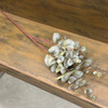 VINTAGE SPIRAL EUCALYPTUS STEM