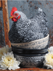 HMK1433L Vintage Chicken Bowls