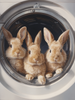 HMK1450B Laundry Rabbits Block