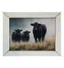 HMK1487L Moody Angus