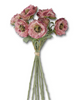 12 Inch Pink Ranunculus Bundle w/Flocked Stem (7 Stems)