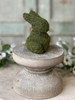 4" HARE HOLLOW BUNNY