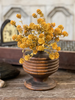 12" Russet Cone Bush - Golden