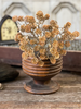 12" Russet Cone Bush - Cinnamon