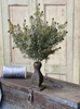 18" Midnight Juniper Bush