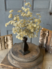 17" Diamond Dust Bush